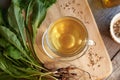 A cup of dandelion root tea, top view Royalty Free Stock Photo