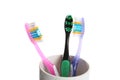 Cup with different toothbrushes