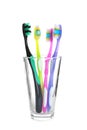 Cup with different toothbrushes