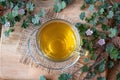 A cup of dwarf mallow tea and blooming plant Royalty Free Stock Photo