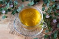 A cup of dwarf mallow tea with fresh blooming dwarf mallow plant Royalty Free Stock Photo