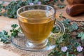 A cup of dwarf mallow tea with fresh blooming dwarf mallow plant Royalty Free Stock Photo