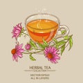 Cup of echinacea tea