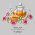 Cup or echinacea tea and teapot