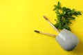 Cup with eco friendly toothbrushes and twigs on yellow background