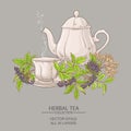 Cup of elderberry tea and teapot