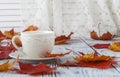 Cup of english tea with milk on white table with maple leaves