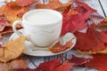 Cup of english tea with milk on white table with maple leaves