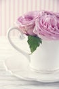 Cup filled with a bouquet of romantic pink roses3 Royalty Free Stock Photo