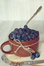 A cup filled with ripe blueberries with a spoon Royalty Free Stock Photo