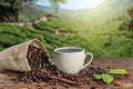 A Cup of fresh coffee and roasted beans in a bag on the table against the backdrop of a landscape of coffee plantations Royalty Free Stock Photo