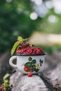 Cup of fresh raspberries. Concept for healthy nutrition. Rustic background. Close up. Royalty Free Stock Photo