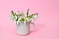 A cup of Fresh snowdrops bouquet with a ribbon on soft background Royalty Free Stock Photo