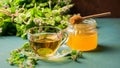 A cup of fresh tea with melissa mint leaves on a rustic background. Healing herbal drink. Horizontal frame. Royalty Free Stock Photo