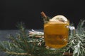 1 Cup fruit tea with Apple and lemon, cinnamon, spruce branches, rosemary on a black background Royalty Free Stock Photo