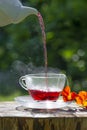 Cup of fruity tea Royalty Free Stock Photo