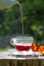 Cup of fruity tea Royalty Free Stock Photo