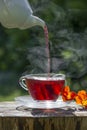 Cup of fruity tea Royalty Free Stock Photo