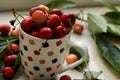 Cup full of fresh cherries Royalty Free Stock Photo