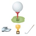 golf related icon set Royalty Free Stock Photo