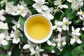 Cup of green jasmine tea on jasmine flowers background Royalty Free Stock Photo