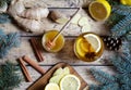 Cup of green natural ginger tea with lemon and honey. Healthy drink. Hot winter beverage concept. Royalty Free Stock Photo