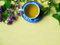 Cup of green tea, apple tree flowers and lilacs on yellow background Royalty Free Stock Photo