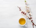 Cup of green tea and branches of blossoming apricot