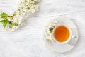 Cup of green tea and branches of blossoming cherry on old wooden background