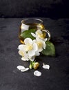 Cup of green tea and Jasmine flowers on a black background. Herbal medicine Royalty Free Stock Photo