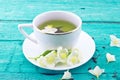 Cup of green tea with jasmine flowers on turquoise rustic wooden Royalty Free Stock Photo