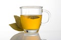 Cup of green tea with leaves Royalty Free Stock Photo