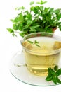 Cup of green tea with mint, close-up, selective focus Royalty Free Stock Photo