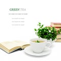 Cup of green tea with mint isolated, close-up, selective focus Royalty Free Stock Photo