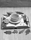 Cup of green tea with slice of lemon. Tea cup on blank book pages and leaves. Hot beverage