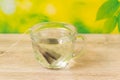 Cup of green tea Royalty Free Stock Photo