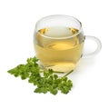 Cup of healthy chervil tea Royalty Free Stock Photo