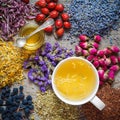 Cup of healthy tea, honey, healing herbs, herbal tea assortment Royalty Free Stock Photo