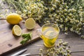 A cup of herbal chamomile tea with camomile blossoms, lemons and mint leaves. The concept of alternative medicine and immune boost Royalty Free Stock Photo