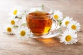 Cup of herbal chamomile tea with fresh flowers Royalty Free Stock Photo