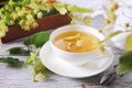 Cup of herbal linden tea with linden flowers Royalty Free Stock Photo