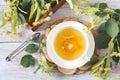 Cup of herbal linden tea with linden flowers on light background Royalty Free Stock Photo