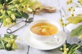 Cup of herbal linden tea with linden flowers and teapot Royalty Free Stock Photo