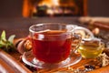 Cup of herbal mint tea with dry herbs on the tray. Royalty Free Stock Photo