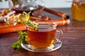 Cup of herbal mint tea with dry herbs on the tray. Royalty Free Stock Photo