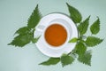 a cup of herbal nettle tea