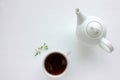 Cup of herbal oregano tea with dry marjoram flowers on white table background with copy space.