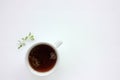 Cup of herbal oregano tea with dry marjoram flowers on white table background with copy space. Top view.