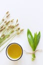 A cup of herbal tea against cough with fresh ribwort plantain leaves.Hebal medicine. Minimalism. Beautiful spring wildflowers .