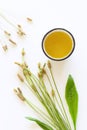 A cup of herbal tea against cough with fresh ribwort plantain leaves.Hebal medicine. Minimalism. Beautiful spring wildflowers . Royalty Free Stock Photo